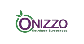 logo-onizzo-removebg-preview